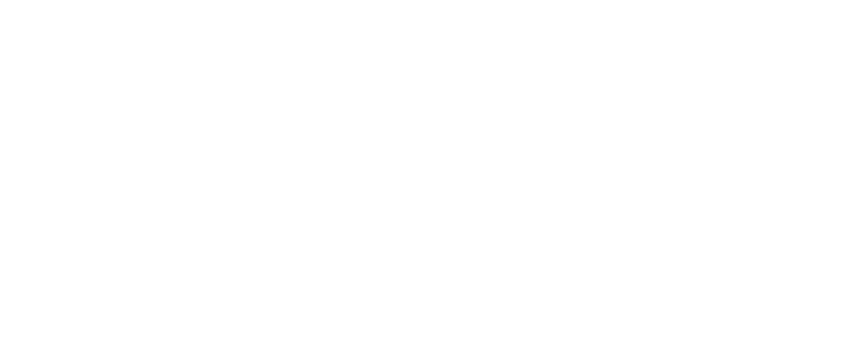 Snyder Dojo LLC